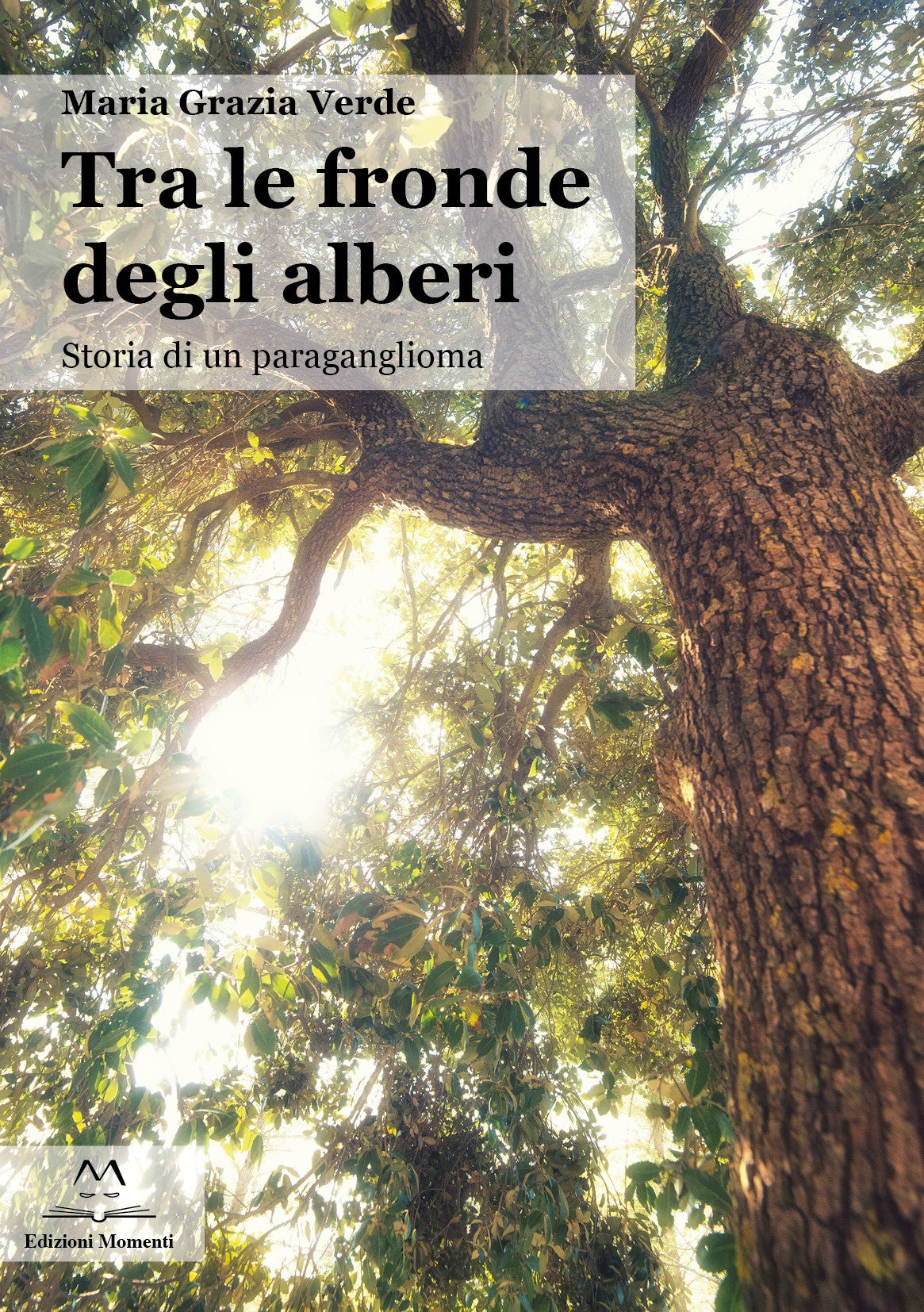 Tra le fronde degli alberi di Maria Grazia Verde