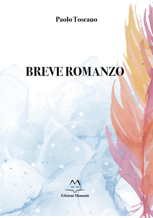 Breve Romanzo di Paolo Toscano